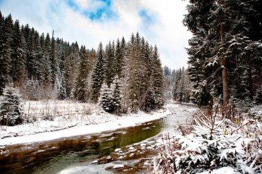 kar kış nehir orman 