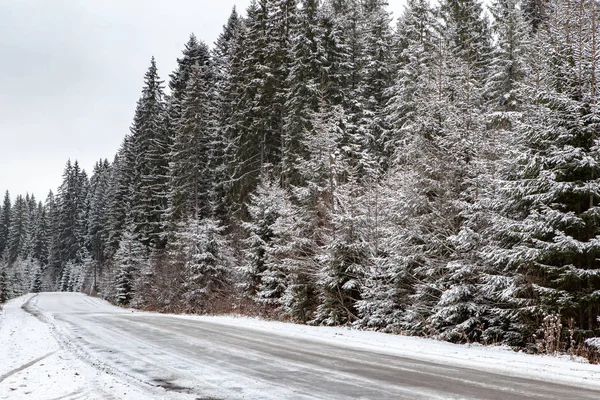 Schnee Wald Straße Winter — Stockfoto
