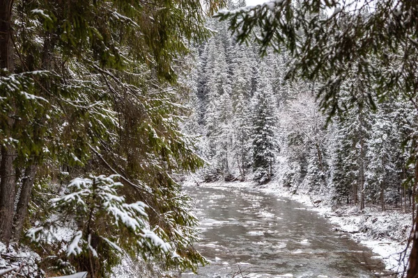 Schnee Wald Fluss Winter — Stockfoto