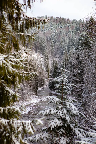 Kar Kış Nehir Orman — Stok fotoğraf