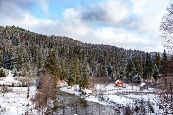 kar kış nehir orman 