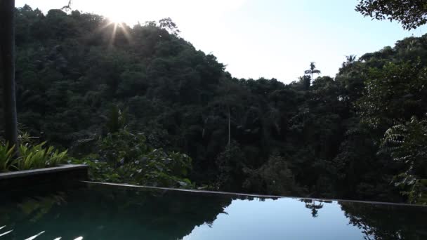 Tropische Zwembad Jungle Weergave Beelden Video Met Geluiden Van Natuur — Stockvideo