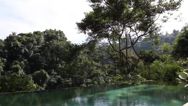 Tropikal Havuzu Orman Görünümü Görüntüleri Doğa Sesleri Ile Video — Stok video
