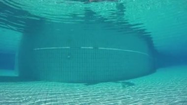 Dalış havuzu içinde kız