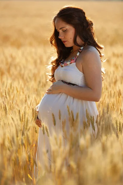 Pregnant Woman Nature Field Royalty Free Stock Images
