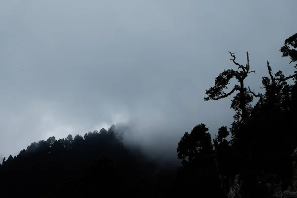 Altas montanhas nas nuvens — Fotografia de Stock