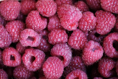 Taze kırmızı temiz yıkanmış ahududu kapatın - kadar fotoğrafı