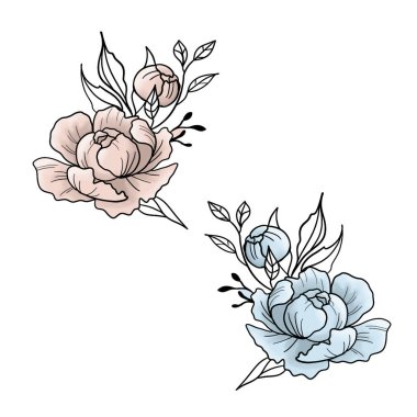 Peonies farklı tonları - kroki çiçekler içinde birkaç