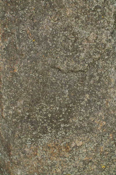 Rock Stone Texture Background — Stock Photo, Image