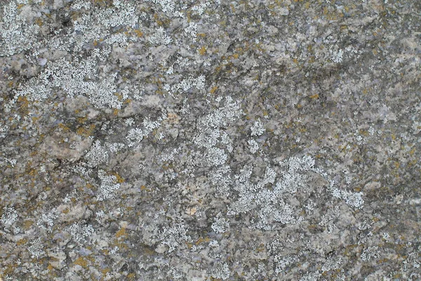 Текстура Камня — стоковое фото