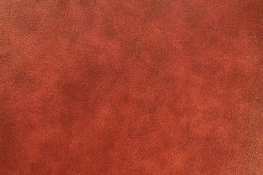 Doğal deri dokusu arka planı