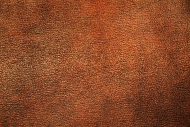 Doğal deri dokusu arka planı