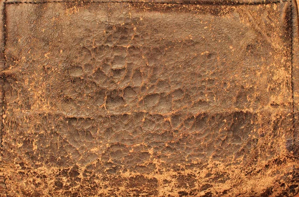 Doğal Deri Dokusu Arka Planı — Stok fotoğraf