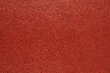 Doğal deri dokusu arka planı