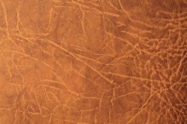 Doğal deri dokusu arka planı
