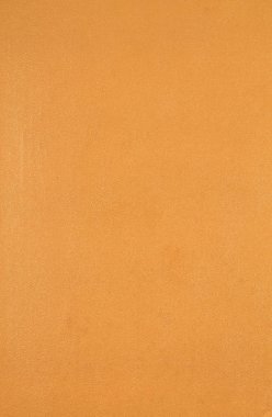 Doğal deri dokusu arka planı