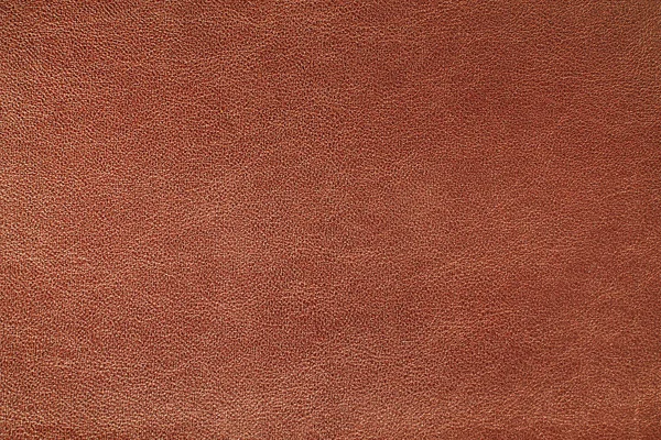Doğal deri dokusu arka planı
