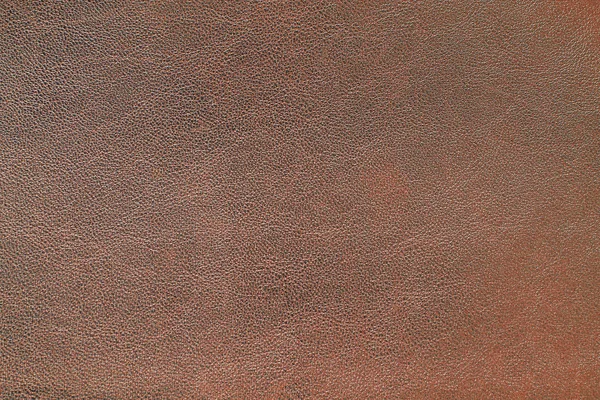 Doğal deri dokusu arka planı