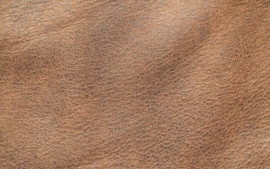 Doğal deri dokusu arka planı