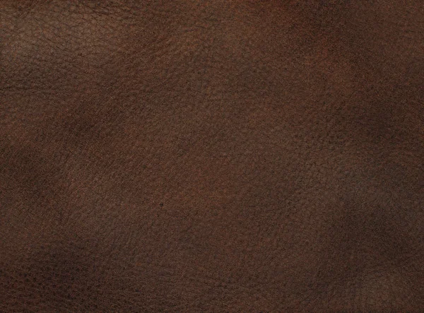 Doğal deri dokusu arka planı
