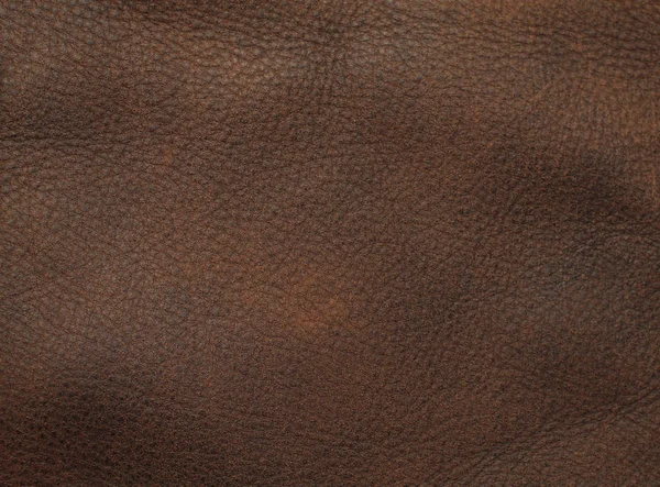 Natural Leather Texture Background — Stock Photo, Image