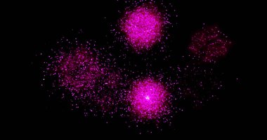 Siyah arka planda havai fişekler