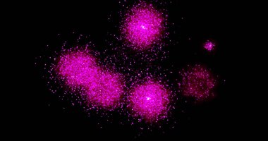 Siyah arka planda havai fişekler