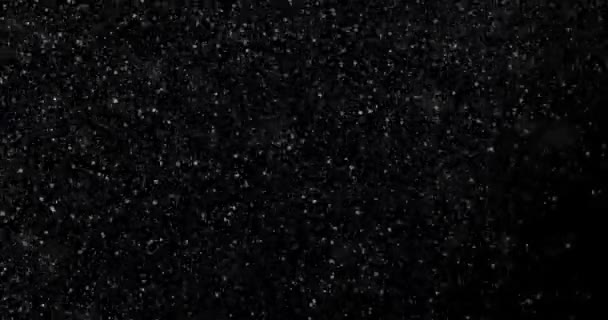 Snowfall Black Background — Stock Video