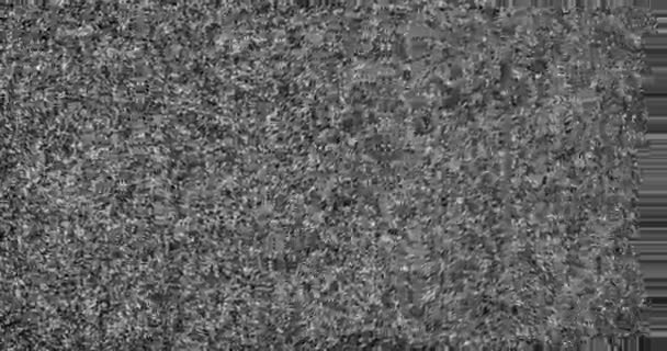 TV Bruit dans la vidéo et la télévision analogiques quand aucun signal de transmission 