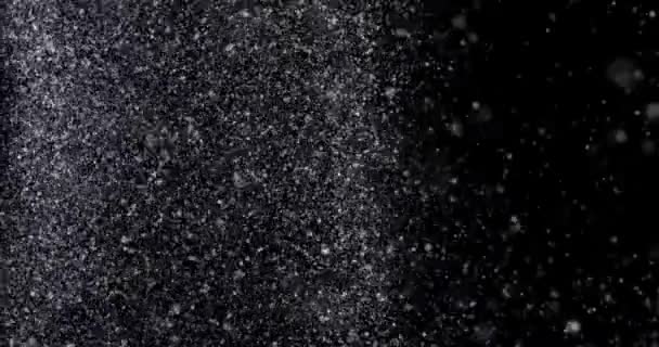 Снег Черном Фоне — стоковое видео