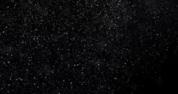 Snowfall Black Background — Stock Video