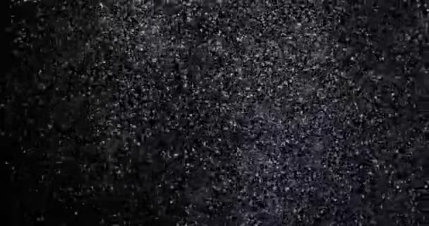 Schneefall Auf Schwarzem Hintergrund — Stockvideo