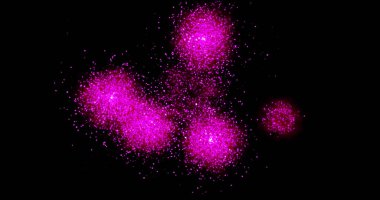 Siyah arka planda havai fişekler