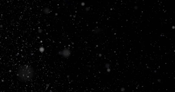 Χιονόπτωσης Μαύρο Φόντο — Φωτογραφία Αρχείου