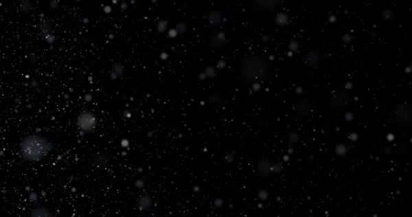 Snowfall on a black background