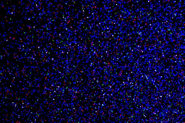 simli desen soyut dekorasyon arkaplanı