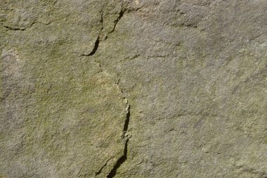 Doğal taş taş doku tasarım arka plan