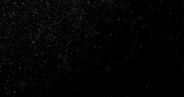 Snowfall Black Background — Stock Video