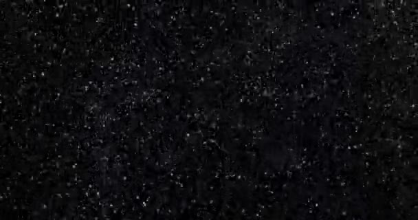 在黑色背景上的降雪 — 图库视频影像