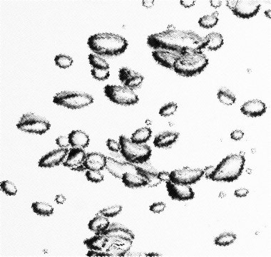 fresh water with underwater bubbles texture background clipart