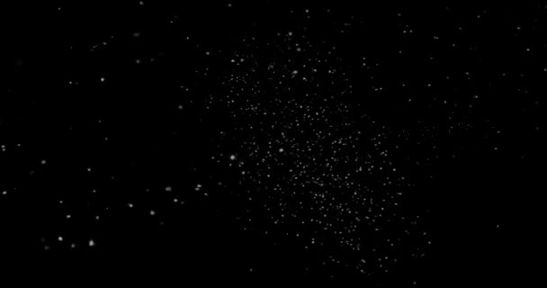 Літаючі Абстрактні Частинки Пилу Чорному Тлі — стокове відео