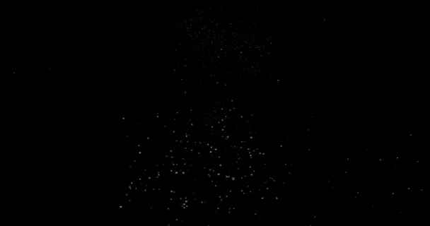 在黑色背景上飞扬的抽象尘埃粒子 — 图库视频影像