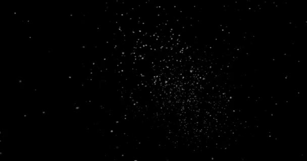 黒の背景に抽象的な塵の粒子を飛ぶ — ストック動画