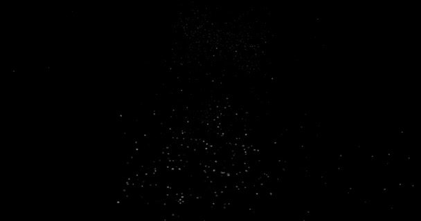 Fliegende Abstrakte Staubpartikel Auf Schwarzem Hintergrund — Stockvideo