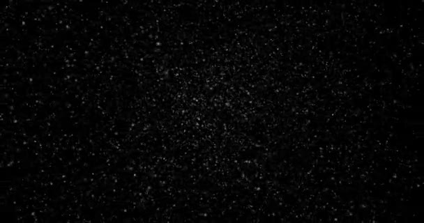 白色小粒子在黑色背景上随机飞行的视频 — 图库视频影像