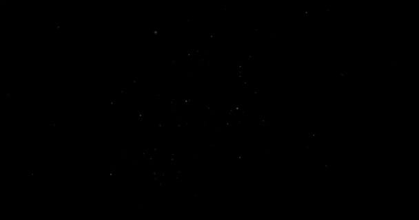 小さな白い粒子がランダムに黒い背景に飛んでいるビデオ — ストック動画
