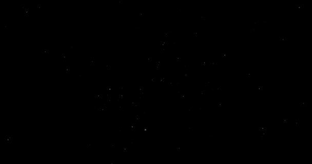 Videó Kis Fehér Részecskék Repül Véletlenszerűen Fekete Háttér — Stock videók
