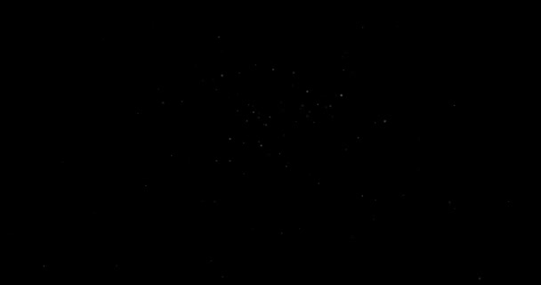 Video Small White Particles Flying Randomly Black Background — Stock Video