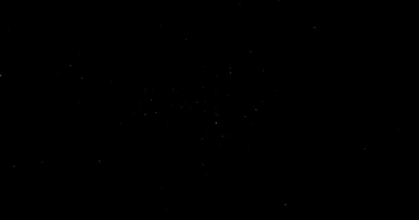 Video Small White Particles Flying Randomly Black Background — Stock Video