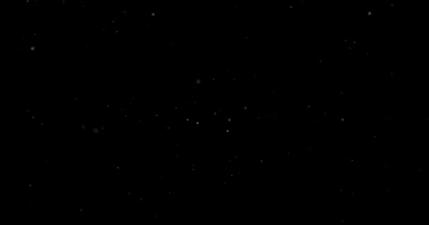 Vidéo avec de petites particules blanches volant au hasard sur fond noir